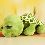 Plush Turtle Toy